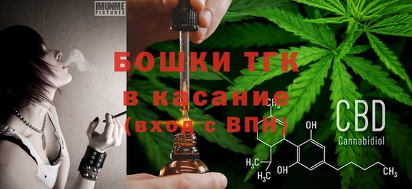 метадон Алексин