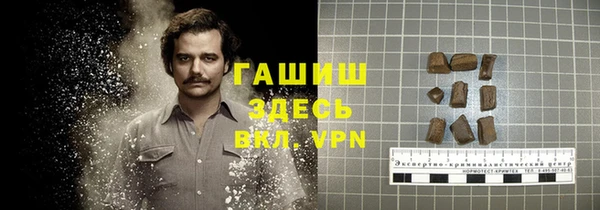 метадон Алексин