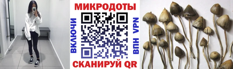 что такое   нарко площадка состав  Псилоцибиновые грибы мицелий  Чапаевск 