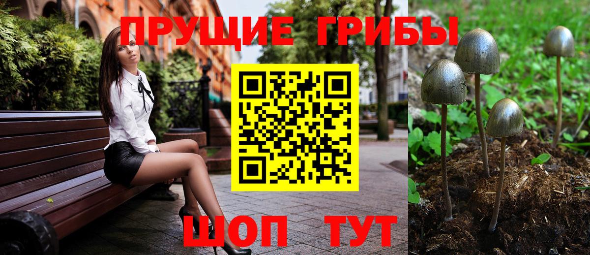 Галлюциногенные грибы Magic Shrooms  Вход с VPN  Чапаевск  Галлюциногенные грибы MAGIC MUSHROOMS 